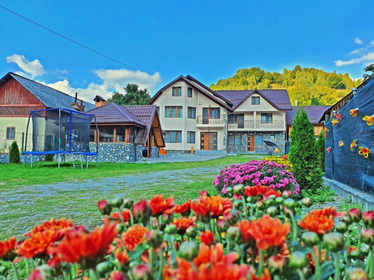 Pensiunea Dorul De Munte Nr 222 Rucăr Zewnętrze zdjęcie